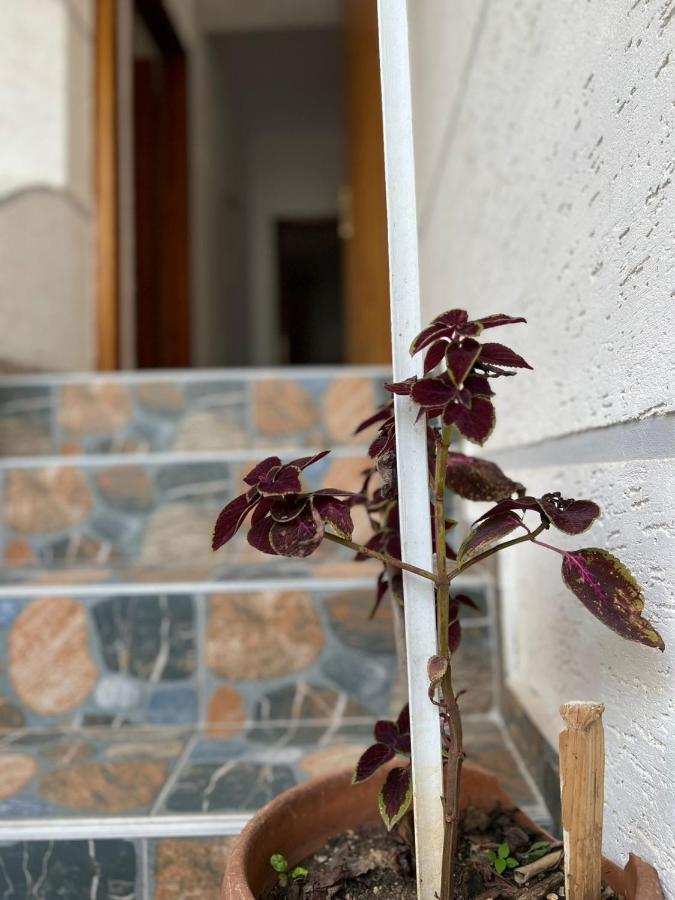 Alex Apartments Sarandë Esterno foto